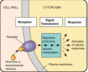 2026 04 26 19 48 22 png