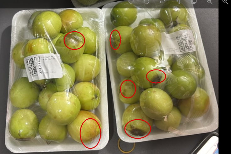 2026 01 16 20 28 29 png