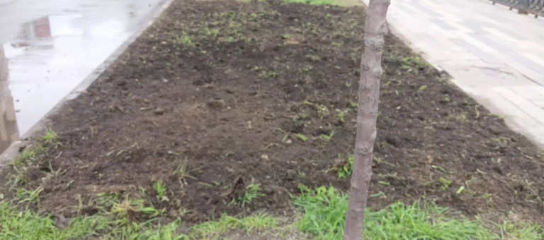 2026 04 18 19 03 55 png