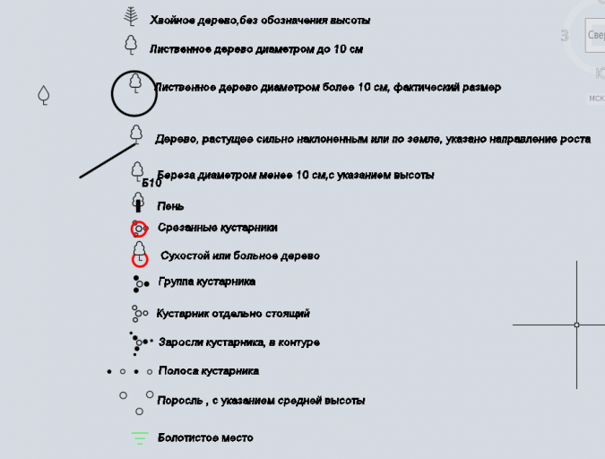 2025 06 19 11 44 45 png