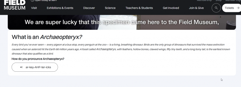 2026 03 23 13 25 48 png