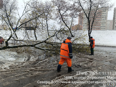 2026 04 29 17 16 12 png