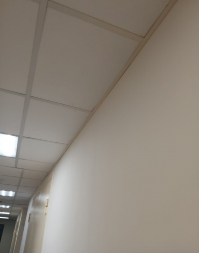 2025 05 28 15 49 41 png