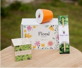 2026 02 23 12 31 31 png