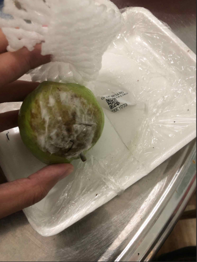 2025 11 04 20 11 04 png