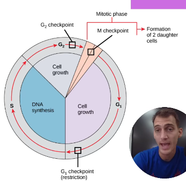 2026 04 26 20 31 17 png