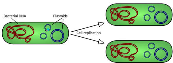 2026 04 27 20 15 07 png