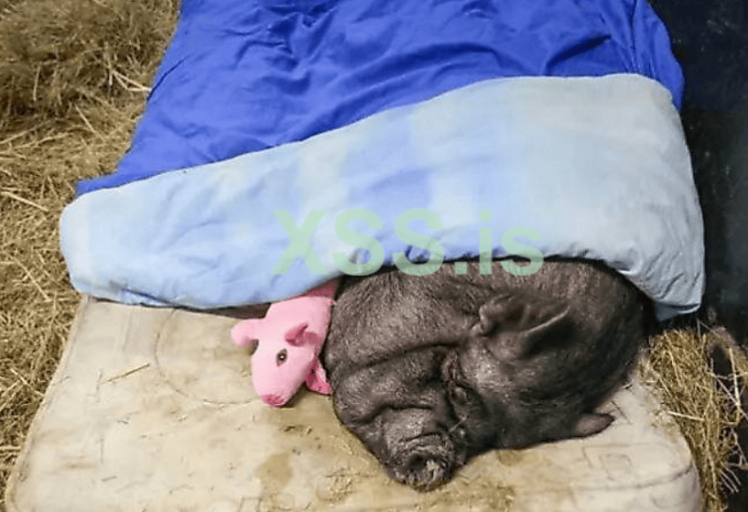 2025 11 19 14 53 1 png