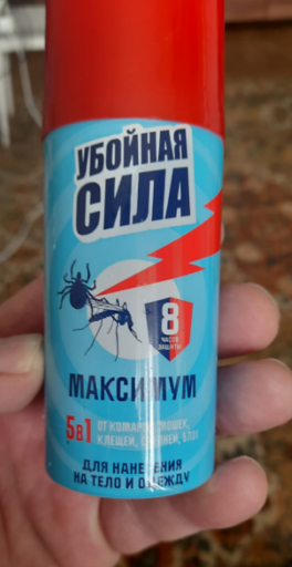 2025 05 26 07 13 09 png