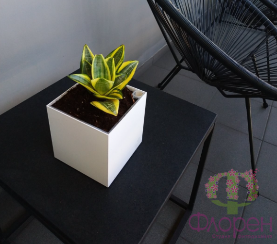 2026 03 10 12 45 51 png