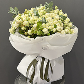 2026 04 08 11 47 15 png