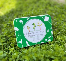 2026 02 23 14 04 35 png