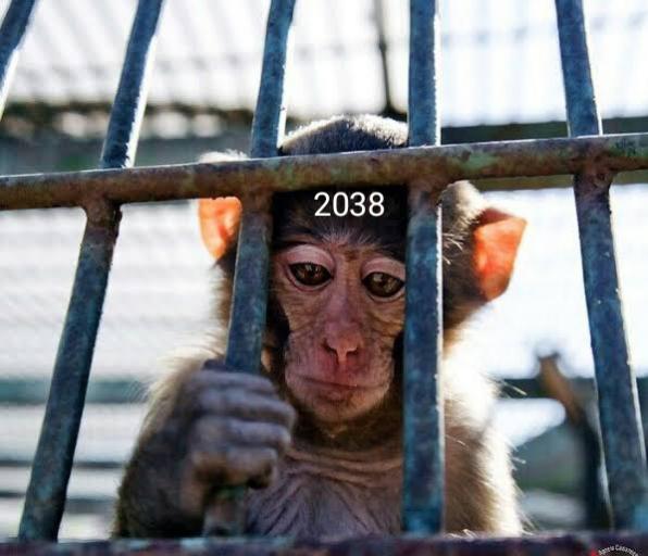 IMG 20251128 163348 jpg