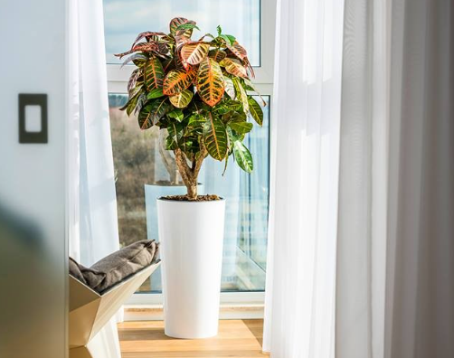 2026 03 10 12 40 49 png