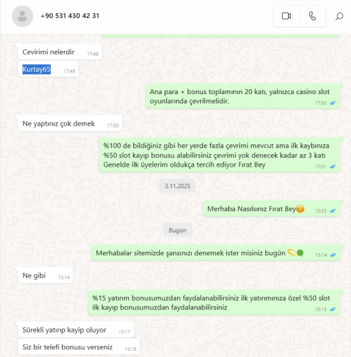 2025 11 18 15 27 28 png