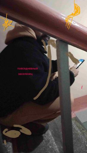 повседневный заселенец jpg