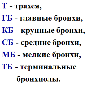 2026 10 01 17 49 37 png