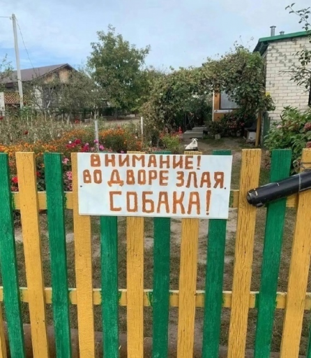 изображение 2025 06 20 013725272 png