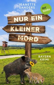 Jeanette Sanders   Nur ein kleiner Mord   Bayern Krimi jpg