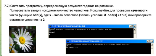 2026 03 05 10 04 27 png