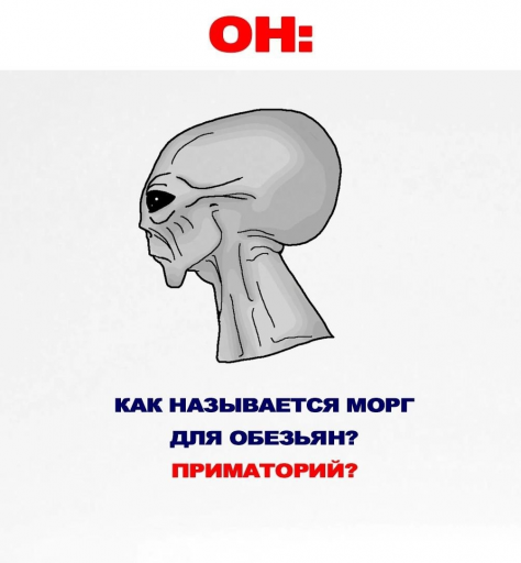 изображение 2026 03 16 140036728 png