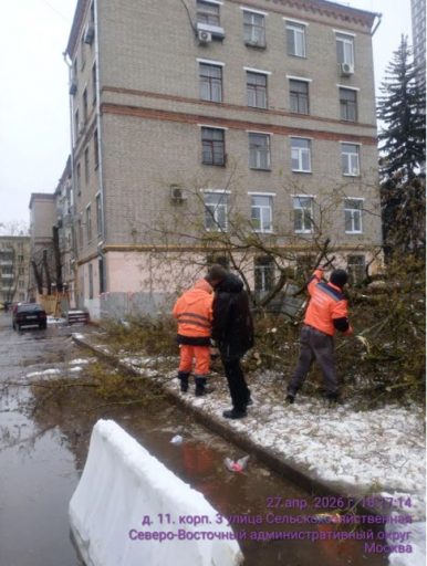 2026 04 29 14 23 17 png