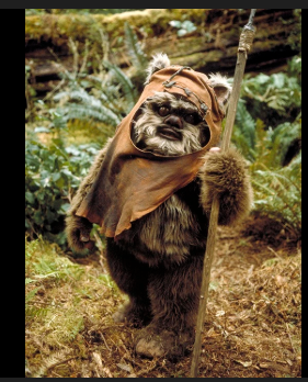 2025 12 24 17 17 20 png