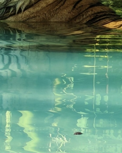 2026 04 22 21 17 42 png