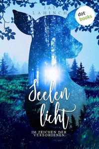 Jay Lahinch   Seelenlicht 1   Im Zeichen der Verborgenen jpg
