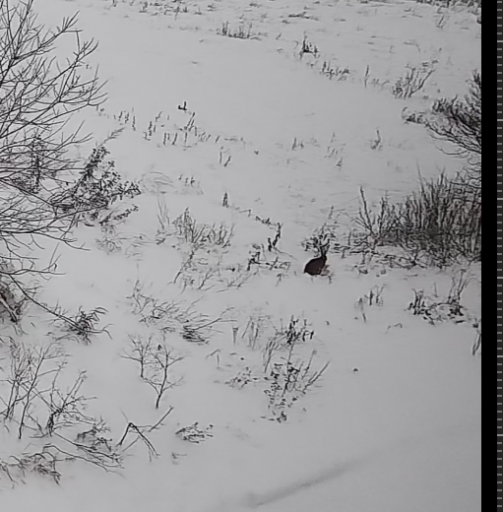 2026 01 06 05 44 56 png