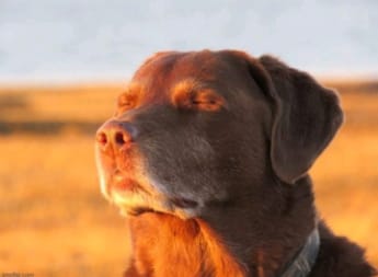 IMG 20251208 WA0000 jpg