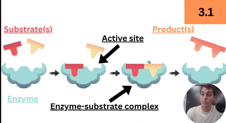 2026 04 26 17 48 23 png