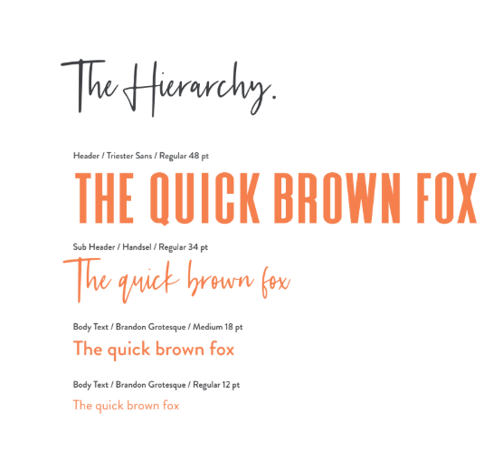 2026 02 20 06 35 37 png