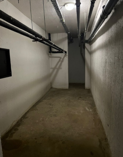 2025 06 05 15 44 36 png