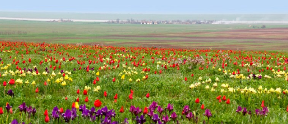 2026 03 13 12 17 44 png