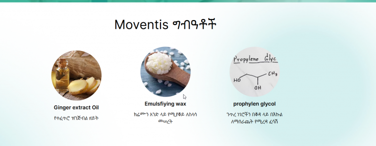 2026 03 13 14 12 31 png