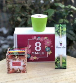 2026 02 21 12 34 44 png