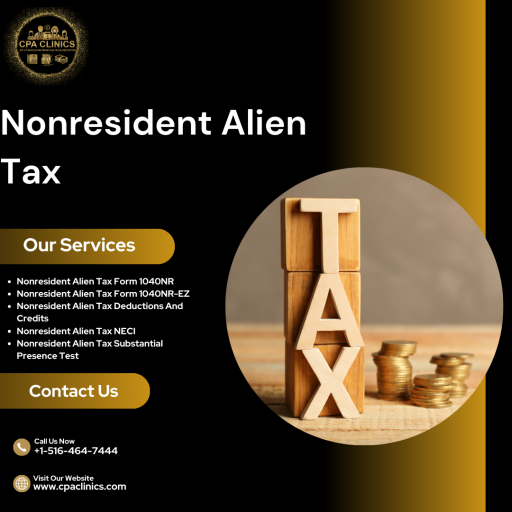 Non Resident Alien Tax Filing png