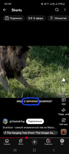 Screenshot 20260222 004549 YouTube jpg