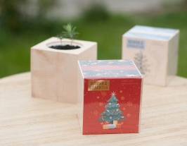 2026 02 24 11 20 36 png