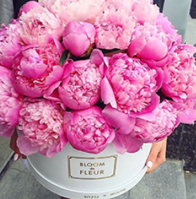 2026 04 14 20 10 24 png