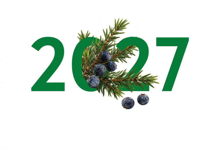 2026 10 08 14 08 33 png