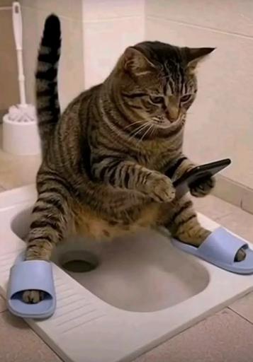 Screenshot 20260423 123612 TikTok jpg