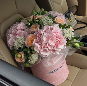 2026 04 27 12 27 43 png