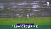 thumb 5ae3c6a85bf8caec2c954cb64422d96d png