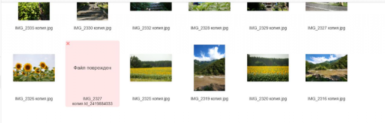 2026 02 25 12 30 34 png