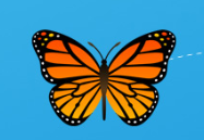 2025 06 08 11 26 17 png