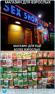 thumb 48f7fb7560d8b90987bda678861aab4b png