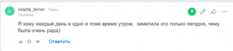 2026 02 10 19 20 41 png