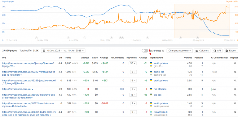 2025 12 10 14 28 41 png